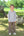 Knit Pants- Beige