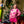 Light Pink Flamingo In Santa Hats Sweatshirt