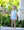 Jack Bubble- Light Blue