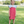 Recess Red-y Scallop Dress
