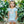 Pumpkin Patch Petals Applique Bloomer Set
