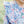 Autumn Blooms Frances Pant Set