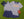 Knit Short- Navy