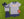 Football Trio Shirt- Navy Stripe