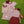 Football Trio Shirt- Maroon Stripe