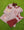 We've Got Spirit Bow Back Short Set- Maroon Stripe