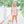 Pumpkins and Paws Ruffle Short Set