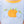 Harvest Trio Short Set