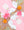 Pretty in Pink Pumpkin Bubble with Peter Pan Collar Top