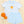 Pumpkin Pals Short Set