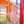 Load image into Gallery viewer, Avery Bubble- Orange Stripe/Blue
