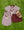 Down, Set, Hut Shirt- Maroon Stripe