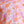 Pumpkin Petals Sarah Dress