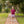 Landry Puff Sleeve Top- Cranberry