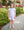 Terry Short Set- Lavender