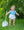 Little Explorers Bubble
