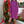 Lottie Dress- Magenta