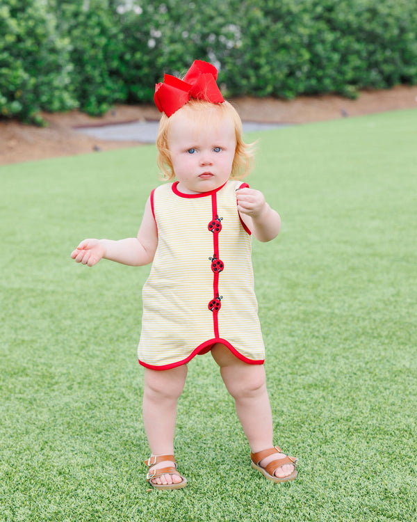 Lovely Ladybugs Diaper Set