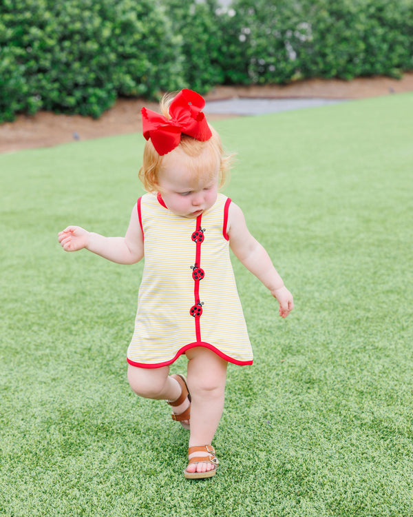 Lovely Ladybugs Diaper Set