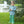 Mallard Embroidery Pant Set