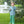 Mallard Embroidery Pant Set