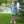 Mallard Embroidery 1/4 Zip Pullover