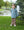 Mallard Embroidery 1/4 Zip Pullover