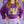 Mardi Gras Knit Sweater