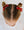 Red Glitter Bow Clip Set