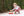 Noah Bubble- Red Stripe
