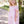 Nutcracker Dress