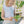 Ocean Club Scallop Skort