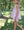 Poppy Smocked Blouse - Tutti Frutti