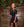 Collier Dress- Navy