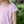 Terry Short Set- Pink