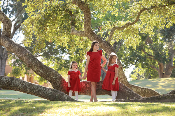 Red Deluxe Velvet Dress With Lace