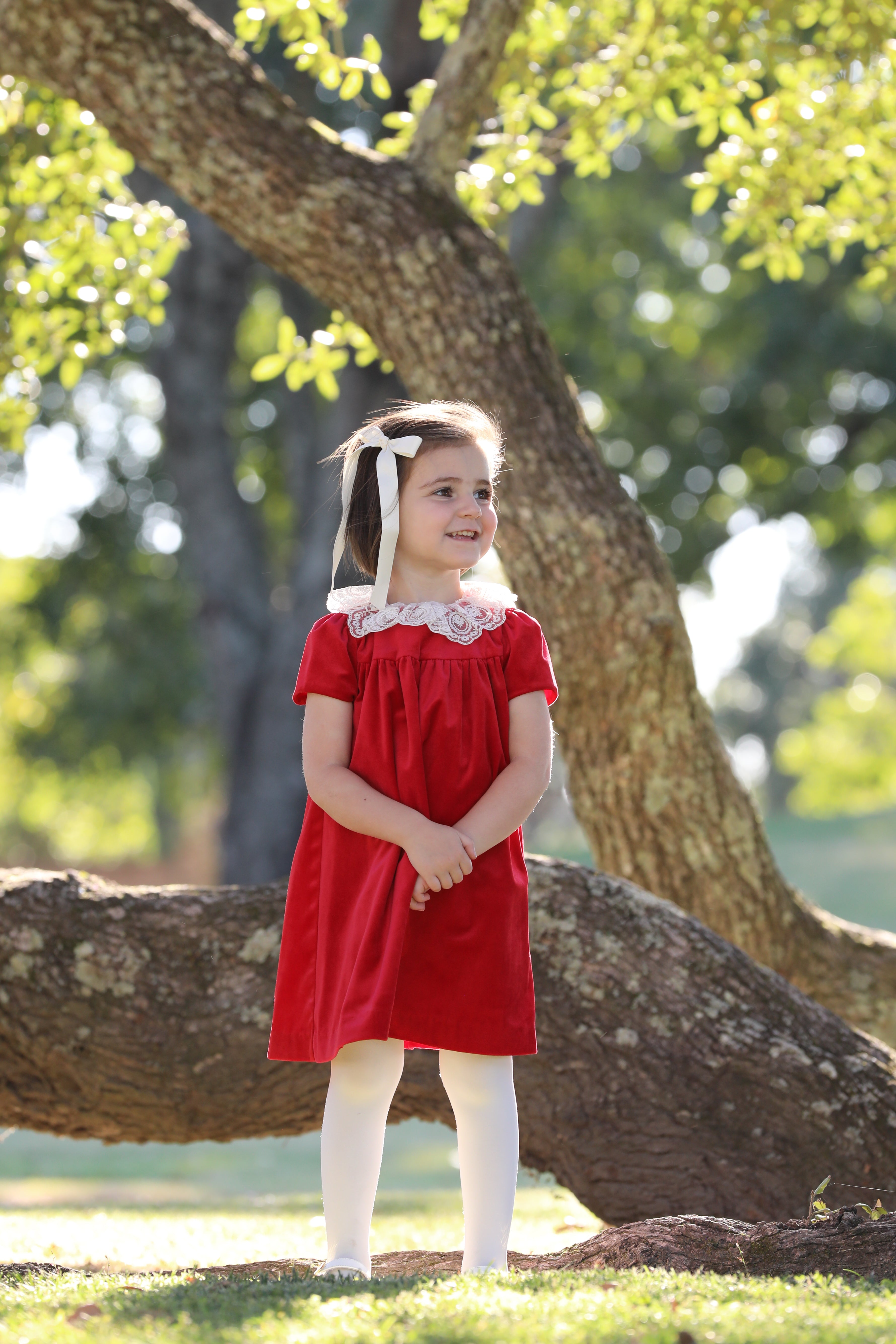 Red Deluxe Velvet Float Dress 3T Red Deluxe Velvet Float Dress 3T