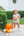 Pumpkin Floral Bubble