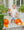 Pumpkin Patch Short Set