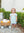 Pumpkin Rowe Bloomer Set