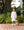 Puppy Pals Dress