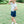 Navy Scallop Skort