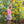 Load image into Gallery viewer, Meadow Floral Skort
