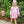 Poppy Floral Bloomer Set