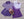 Mallard Short- Purple