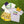 Mardi Gras Beads Shirt