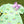 Sequin Mardi Gras Mask Dress