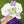 Mardi Gras Chenille Shirt
