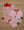 Merry Moments Nicholas LS Set