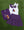 Touchdown Shirt- Purple/Yellow